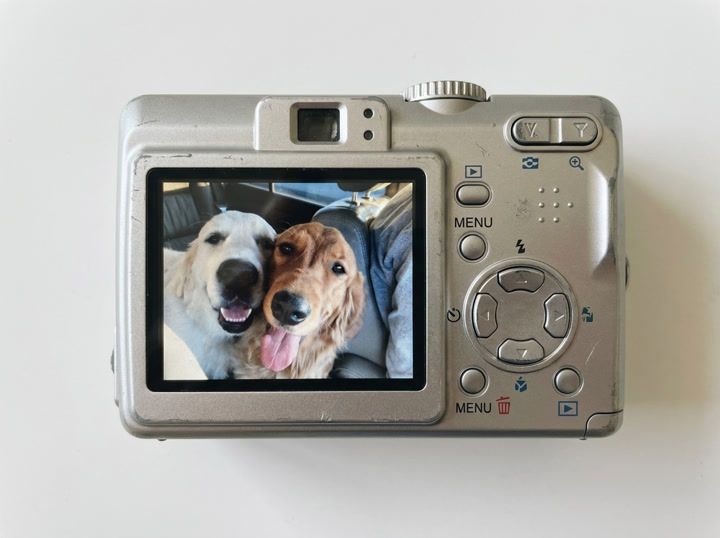 Pet Digicam Screen
