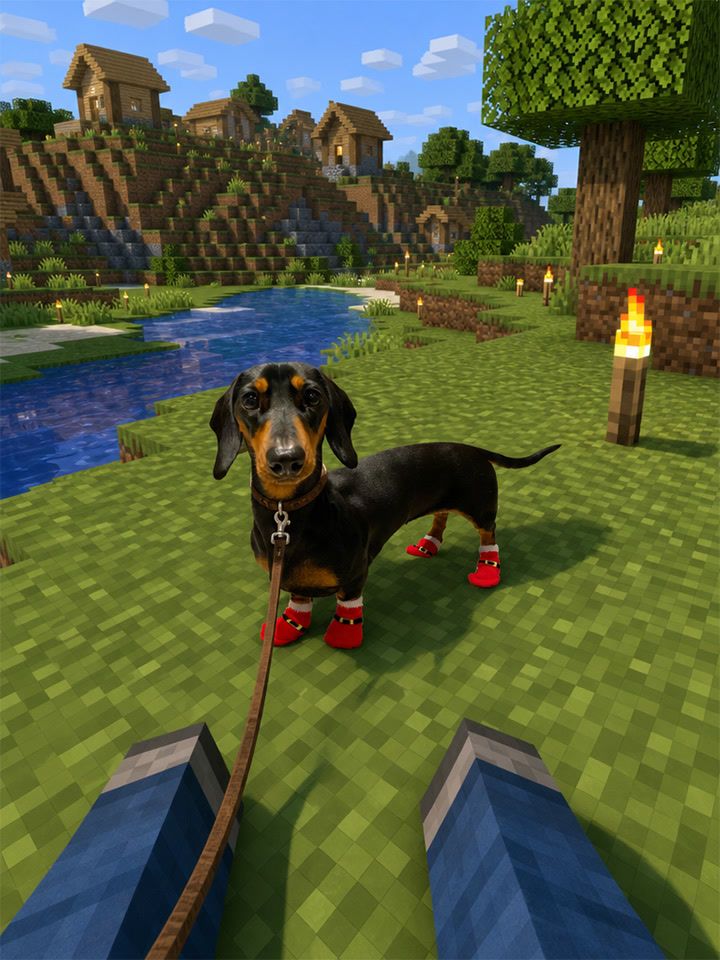 Minecraft Pet