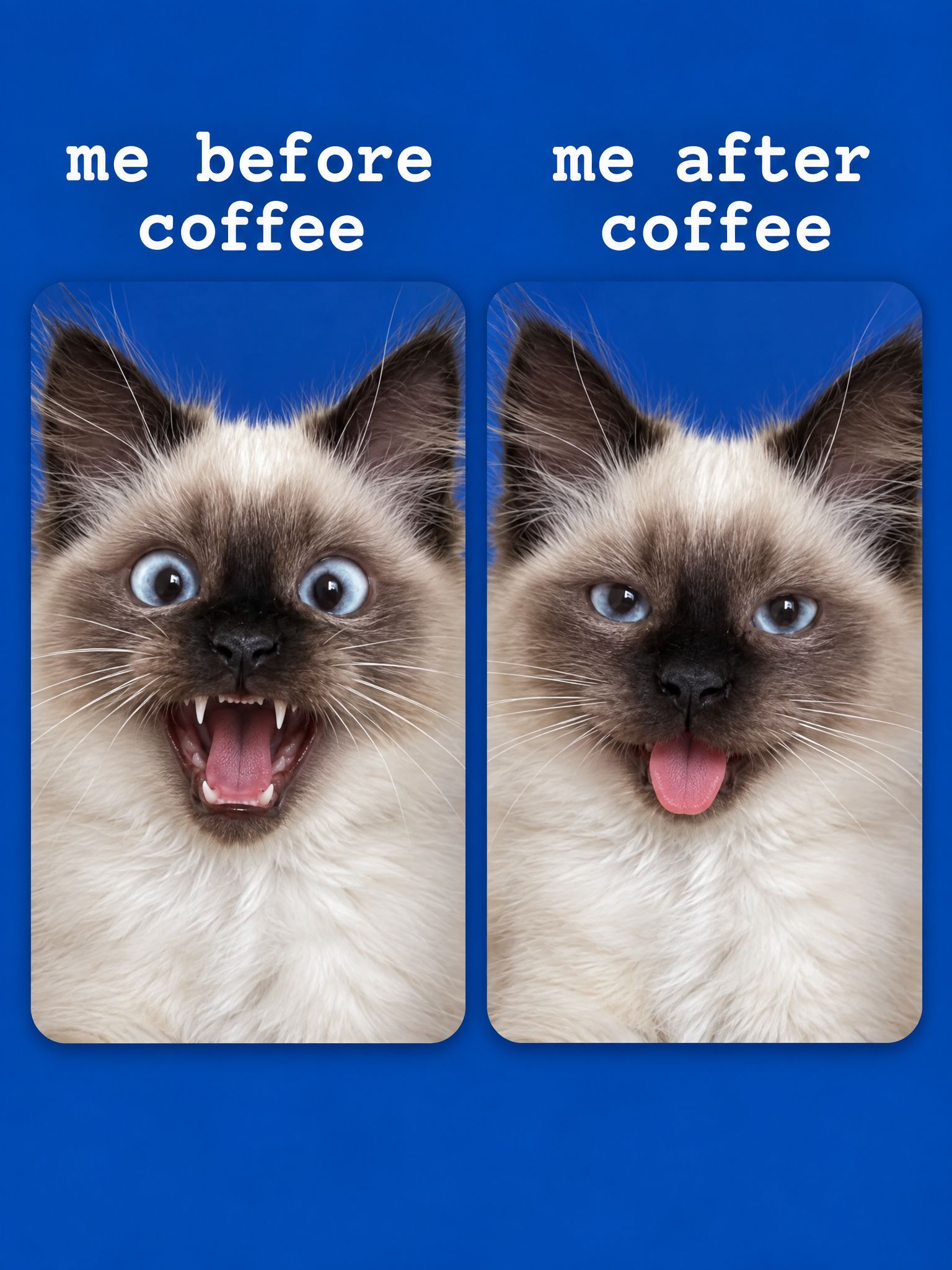 me and coffee meme