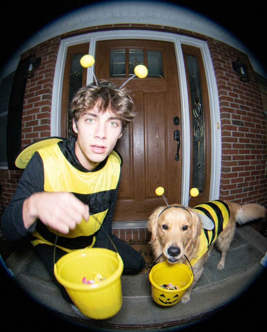 Doorbell Bee